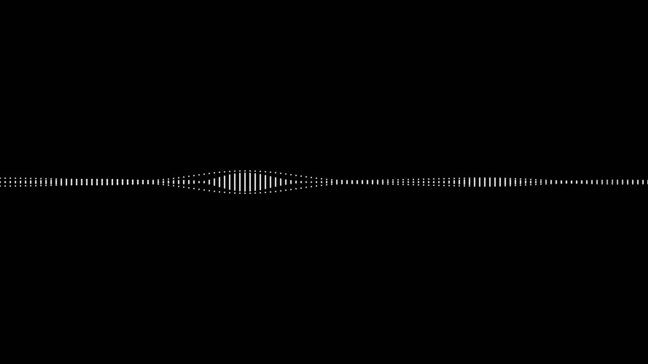 간단한 흑백 오디오 시각화 효과-30