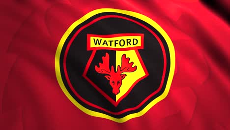 el logotipo del club de fútbol watford en una bandera