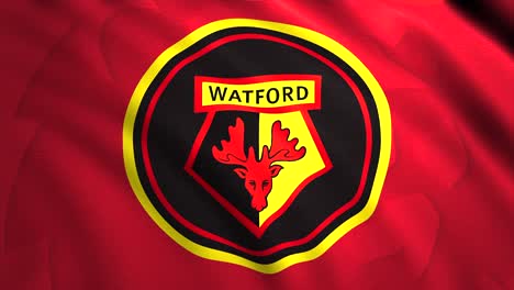 watford football club logo on a flag