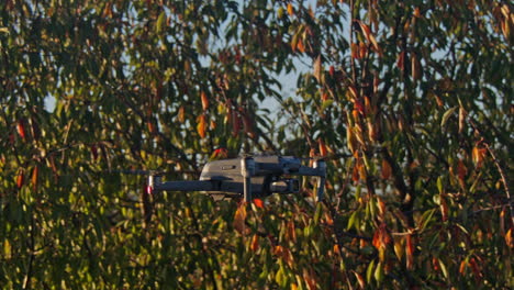 dji mavic drone hovering in nature