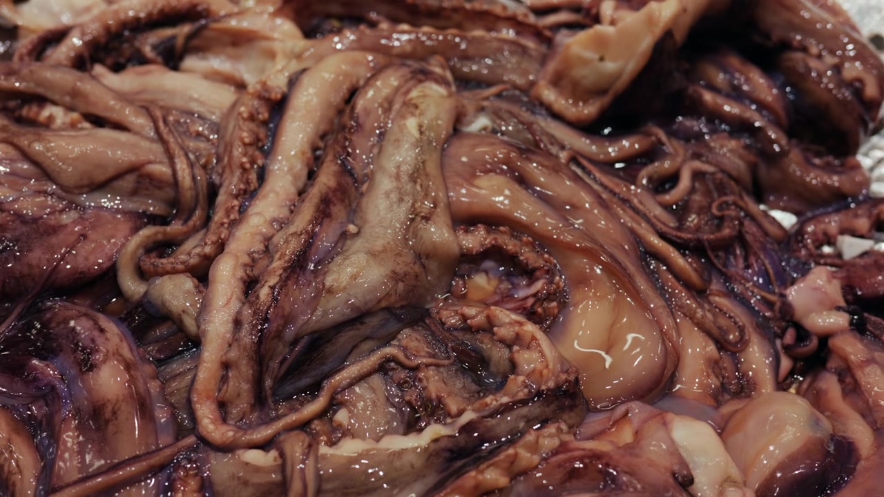 Tentacoli e pezzi di corpo di calamari crudi appena pescati che creano una texture astratta, pronti per essere cucinati e preparati