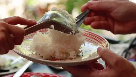 serving rice
