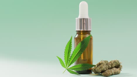 video de hojas y brotes de marihuana y botella de extracto de cbd sobre fondo azul