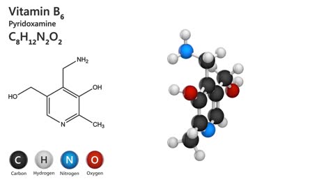 vitamin b6 (pyridoxamine). seamless loop.