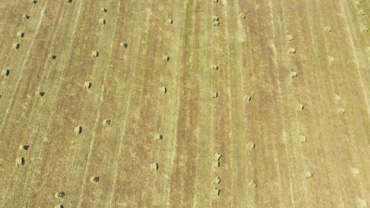 Aerial view of round hay bales on stubble in the background