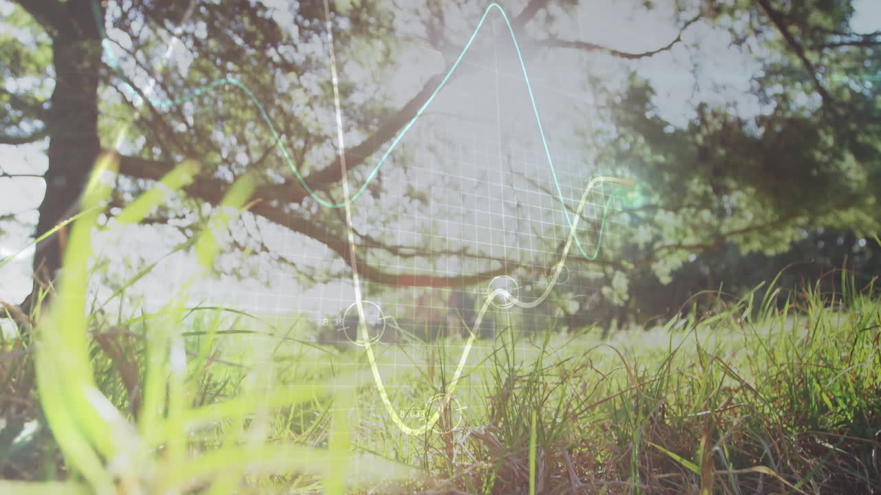 Grass blades showing transparent digital graph overlays in flat design sunlit field close-up