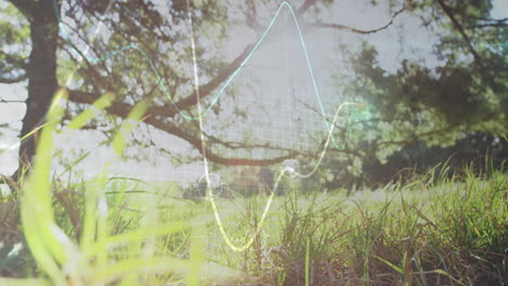 grass blades showing transparent digital graph overlays in flat design sunlit field close-up