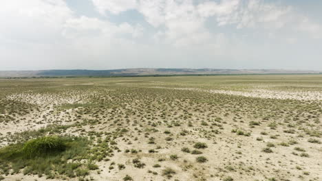 vast sandy arid steppe plain with grass turfs in vashlovani, georgia