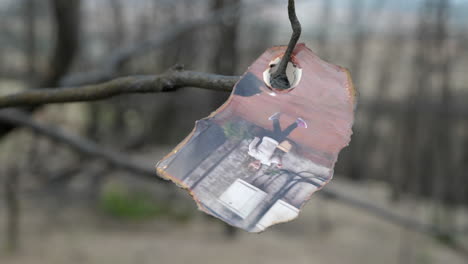 damaged photo hanging on a burned tree branch