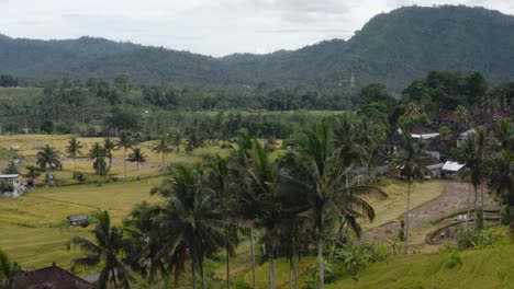 wide aerial pan of of green hills, rice fields and houses in indonesia