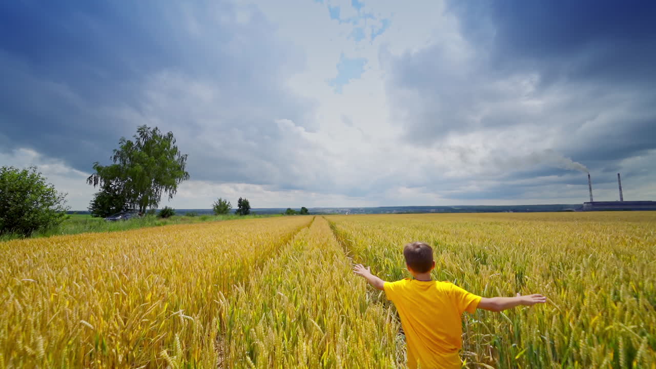 Little happy boy in field. Boy running on wheat field with blue sky background