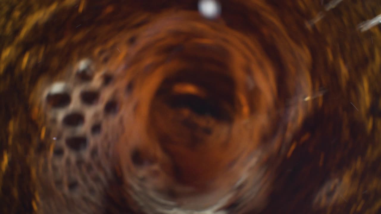 el remolino en la cola o la cerveza oscura