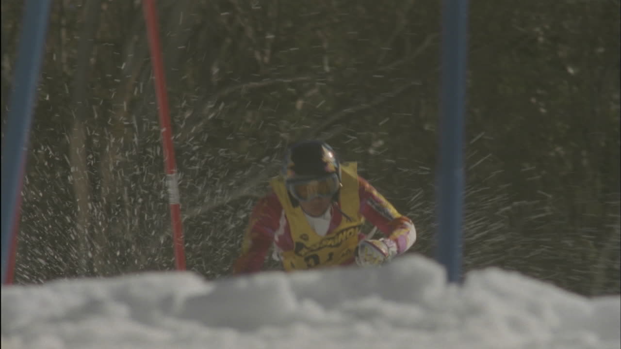 Alpine skier running a downhill course 3