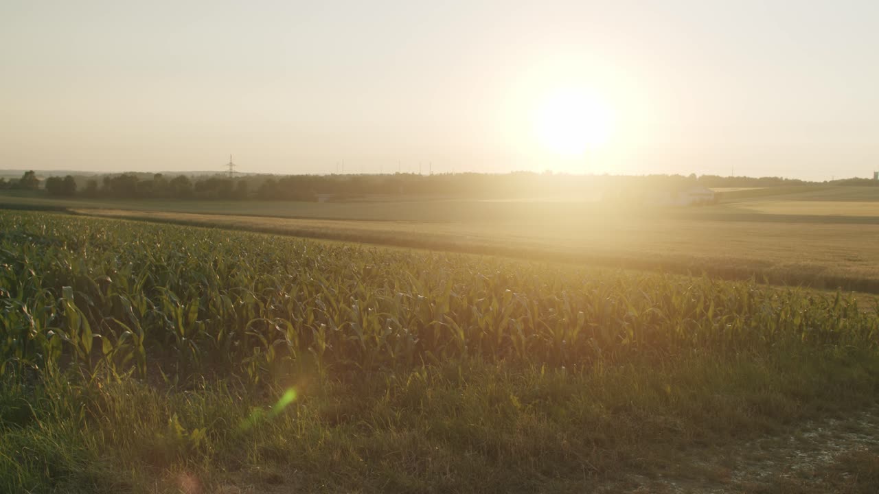 toma amplia de mano de un campo con un bosque y el sol en el fondo