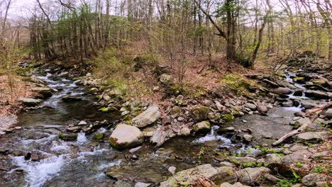 Vista-Panorámica-De-Un-Suave-Y-Hermoso-Arroyo-De-Primavera-Bifurcado-En-Un-Hermoso-Bosque