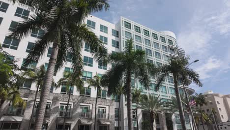 Palm-trees-in-front-of-a-modern-white-building-under-a-bright-blue-sky-in-Miami-Beach