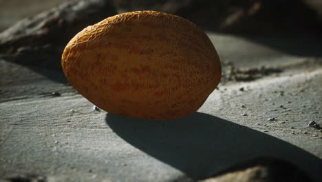 melón del desierto en la playa de arena