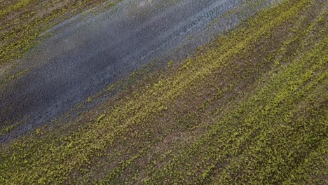 vista aérea de pájaro del campo de cereal verde fresco inundado en un día de primavera nublado, agricultura agrícola y producción de alimentos, disparo de drones de gran angular moviéndose hacia atrás