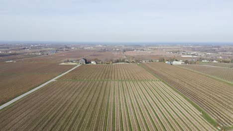 4K-Aerial-Shot-of-a-vineyard-in-the-Fall