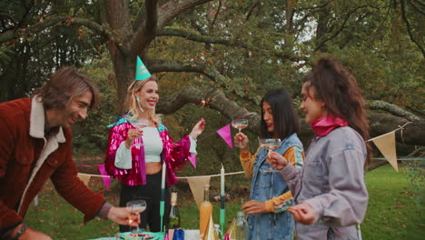 outdoor birthday celebration