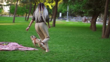 Fröhliche,-Junge-Frau,-Die-Sich-Mit-Ihrem-Hund-Im-Freien-Amüsiert-Und-Ihn-Mit-Picknick-Auf-Gras-Herumjagt