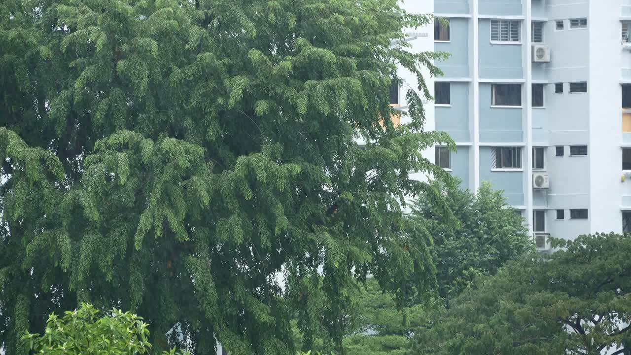 Residential buildings at rainy day ,