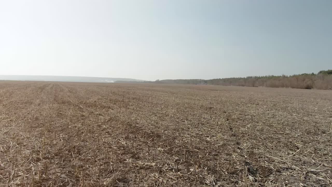 Empty Brown Field Under a Pale Sky