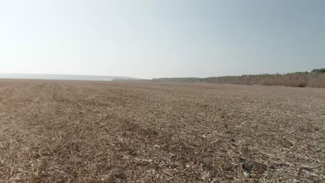 empty brown field under a pale sky