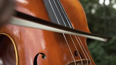 playing the cello in the street