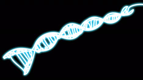 dna is a neon line on a black screen.