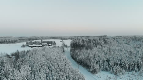 Aéreo,-Seguimiento,-Tiro-De-Drone,-Panorámica-Sobre-árboles-Invernales,-Con-Vistas-A-Una-Granja-Nevada-Y-Una-Carretera,-En-El-Campo-De-Karelia,-En-Una-Tarde-Soleada-De-Invierno,-En-Vuoniemi,-En-Pohjois-karjala,-Finlandia