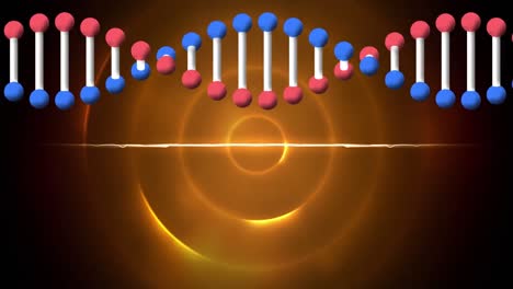 Animation-of-dna-over-brown-and-yellow-circles-moving-on-black-background