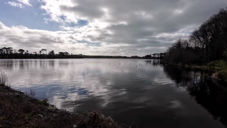 Lago-De-Pesca-Al-Amanecer-En-Primavera-Knockaderry-Waterford-Irlanda-Oa