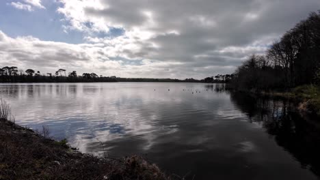 fishing lake at dawn in spring knockaderry waterford ireland oa