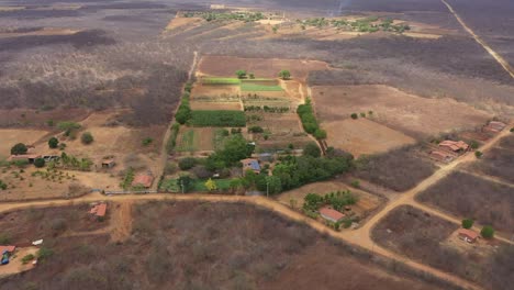 Wide-angle-view-of-successful-organic-food-farm-surrounded-by-wilderness