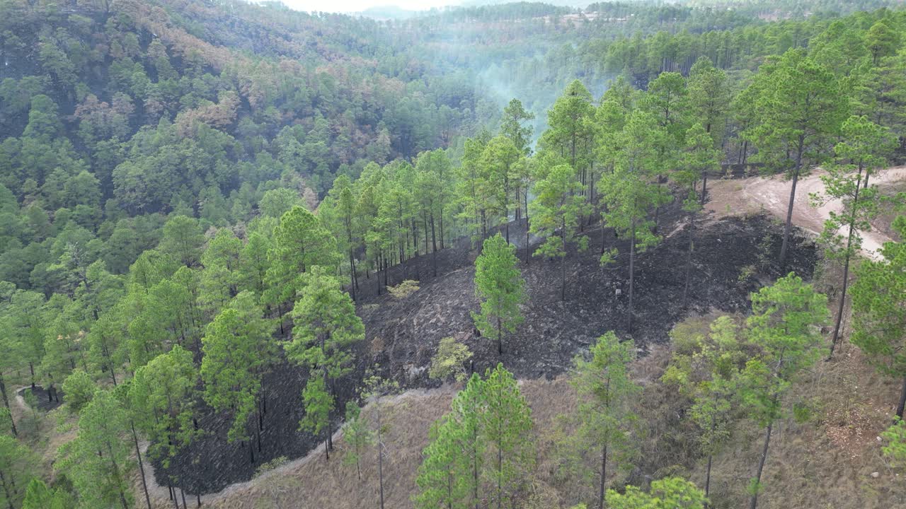 Deforested landscape from wildfire in Honduras, aerial drone view over burned land