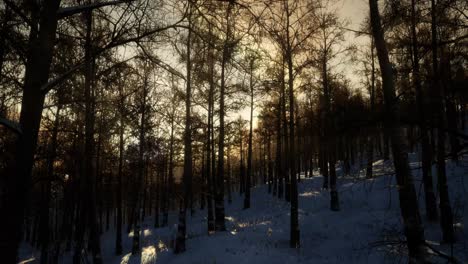 Paisaje-De-Invierno-En-Una-Puesta-De-Sol