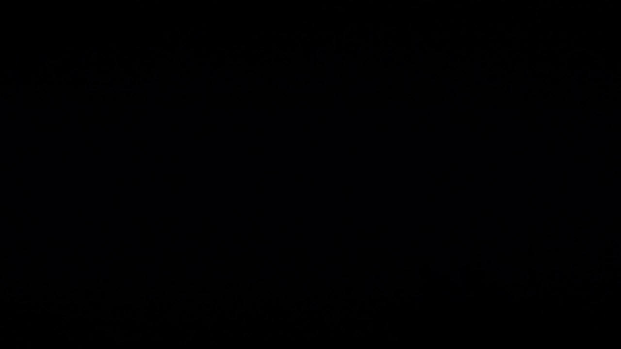 Lightning Storm Unfolds Over a Calm Night Horizon