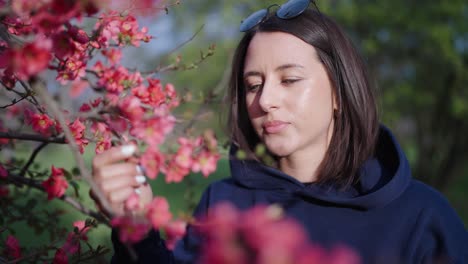 woman smell and enjoy blooming chinese quince shrub, spring in czech republic