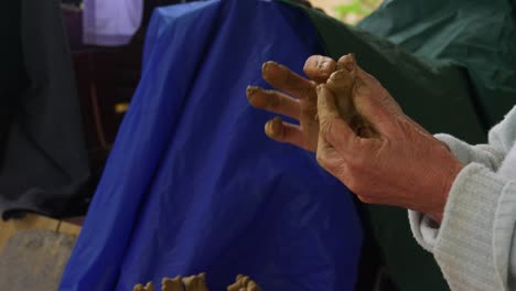 Close-up-of-an-Asian-woman's-hand-crafting-an-animal-figure-with-clay-in-Thanh-Ha,-Vietnam