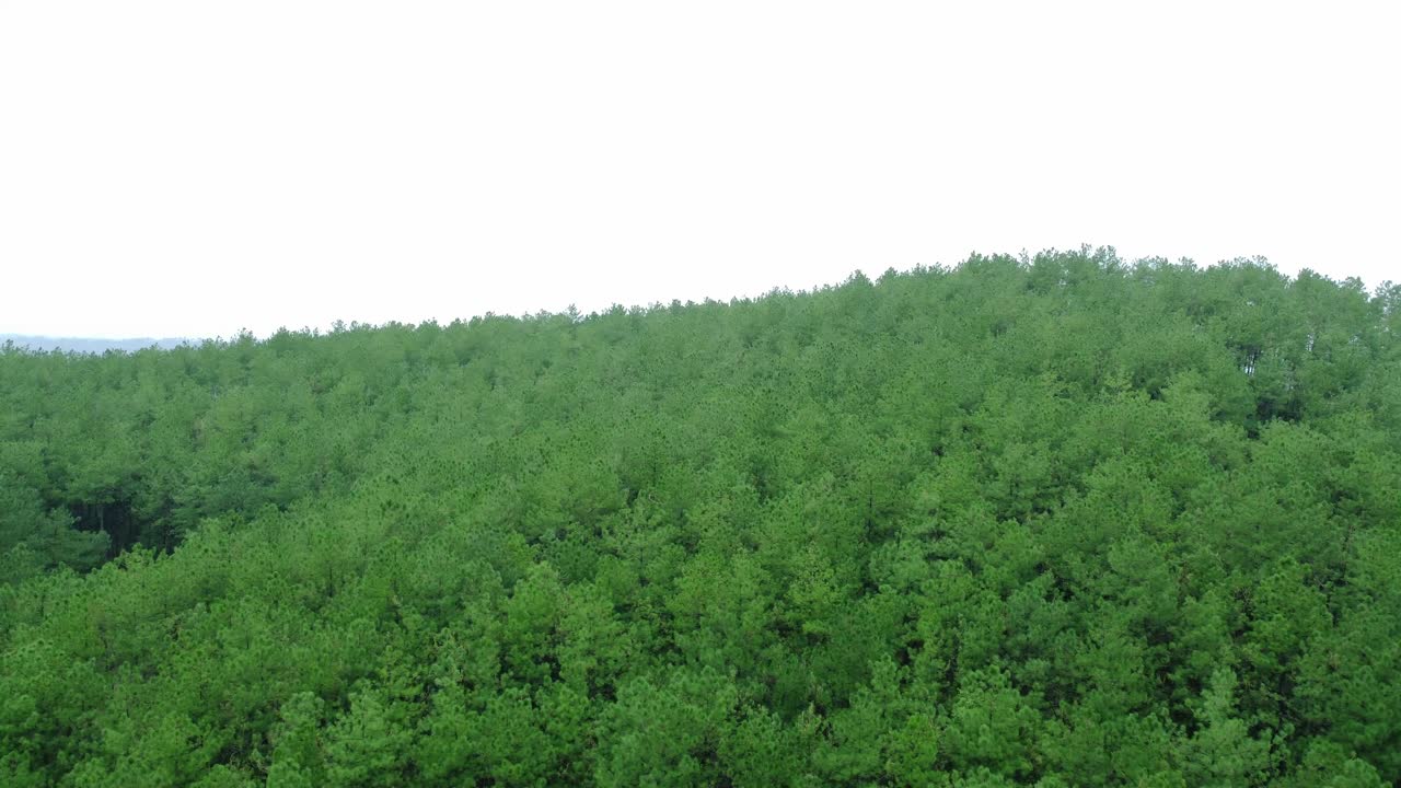 Drone video of Meghalaya's natural beauty.