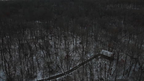 Vista-De-Pájaro-Del-Paisaje-De-Bosque-Blanco-Cubierto-De-Nieve-En-Invierno-En-Mount-Sequoyah