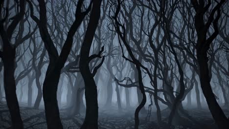 spooky dark forest in the mist