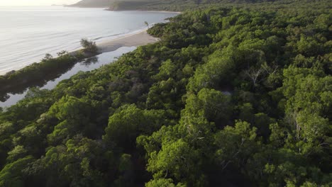 Tin-Creek-And-Beach-With-Lush-Green-Trees-In-The-Forest-Near-Rex-Lookout-In-QLD,-Australia