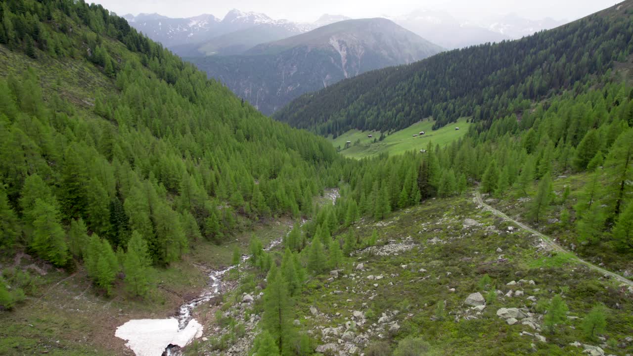 imágenes aéreas de drones moviéndose lentamente a través de un paisaje montañoso y forestal con laderas cubiertas de alerces y abetos con parches de nieve en suiza
