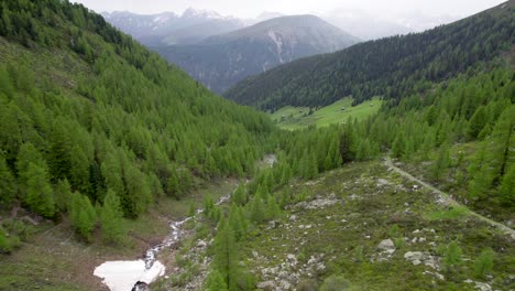 Imágenes-Aéreas-De-Drones-Moviéndose-Lentamente-A-Través-De-Un-Paisaje-Montañoso-Y-Forestal-Con-Laderas-Cubiertas-De-Alerces-Y-Abetos-Con-Parches-De-Nieve-En-Suiza