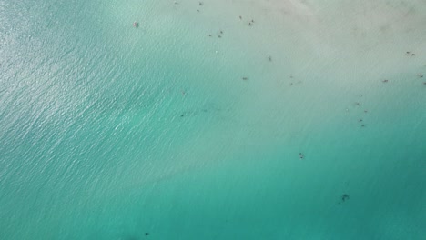 Aerial-top-down-revealing-shot-of-the-La-Pelosa-one-of-the-most-beautiful-beaches-on-the-Emerald-Coast-in-the-Mediterranean