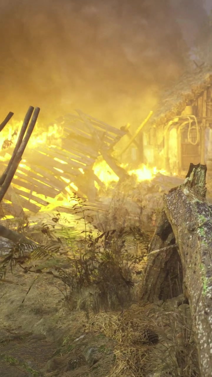Un incendio divora una struttura in un'area boschiva durante le ore diurne