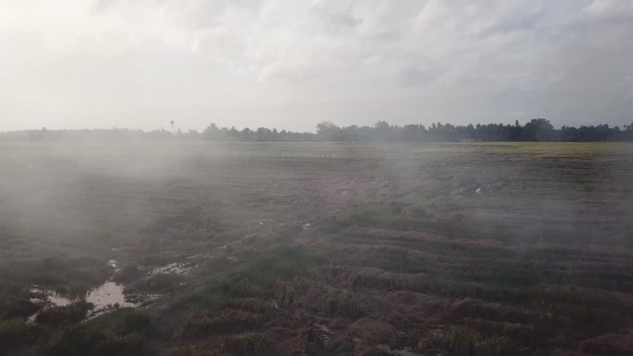 Paddy field open burning in evening at Malaysia, Southeast Asia.