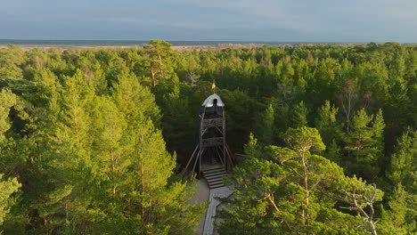 Luftaufnahme-Eines-Modernen,-Bootförmigen-Aussichtsturms-Inmitten-Eines-Kiefernwaldes,-Nordischer-Wald,-Waldweg,-Sonniger-Abend,-Goldenes-Stundenlicht,-Drohnenaufnahme,-Die-Sich-über-Baumwipfel-Bewegt